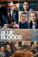 Blue Bloods Season 13 (2022) บลูบลัดส์ สายเลือดผู้พิทักษ์