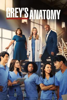 Greys Anatomy Season 19 (2022)